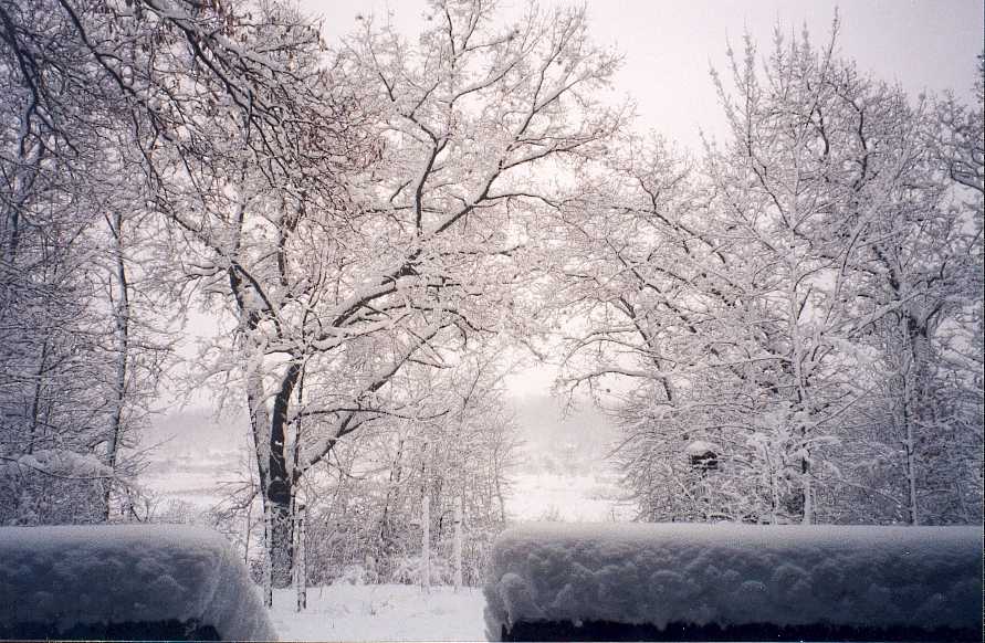 A heavy snow in the winter.
